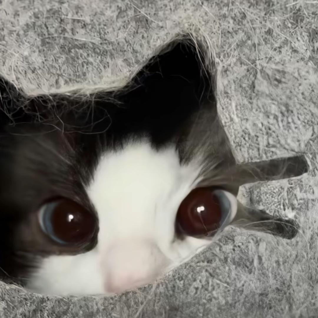 把前任按在地上猛炫大鸡屎