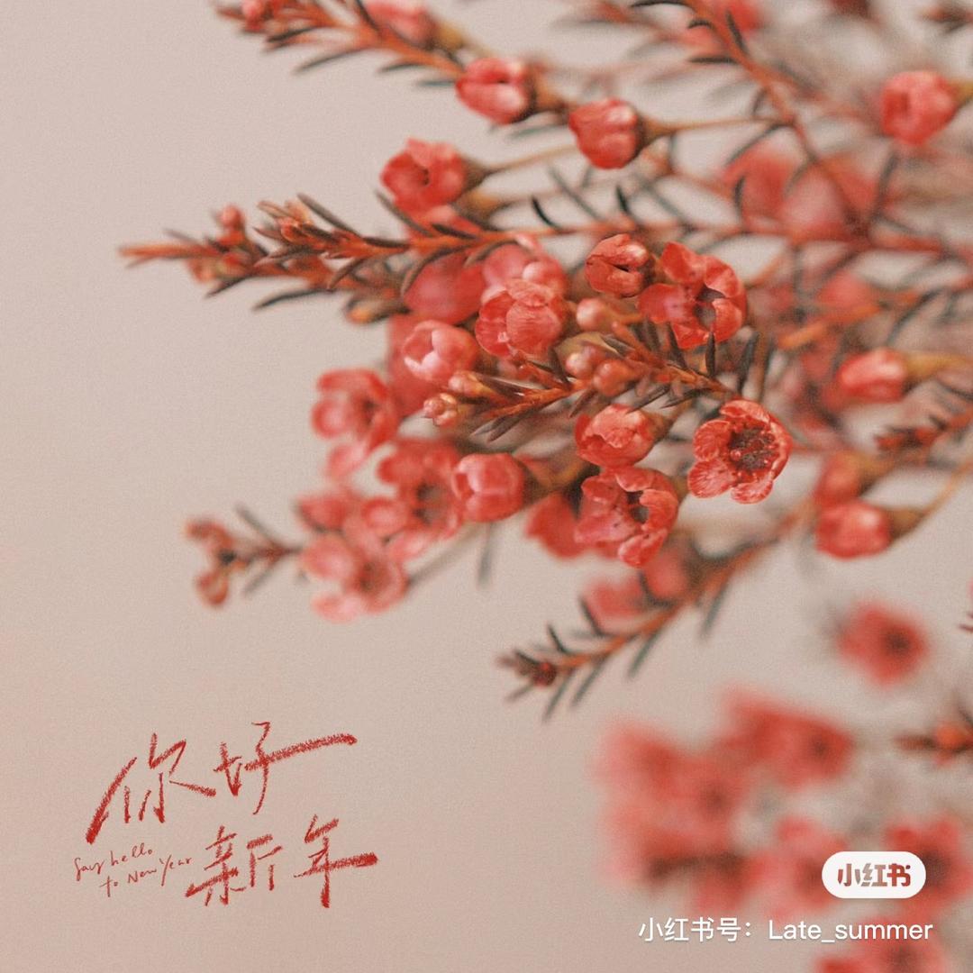 果湘年货