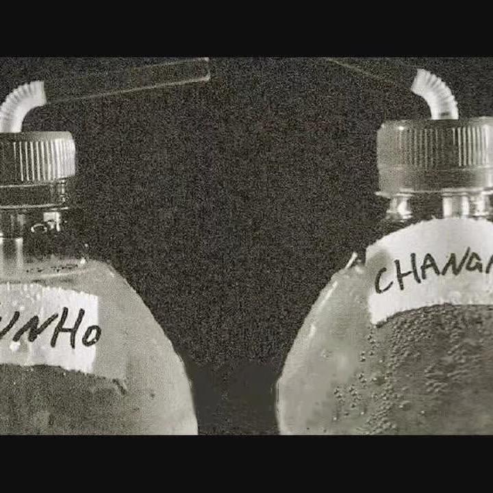 Shihchia