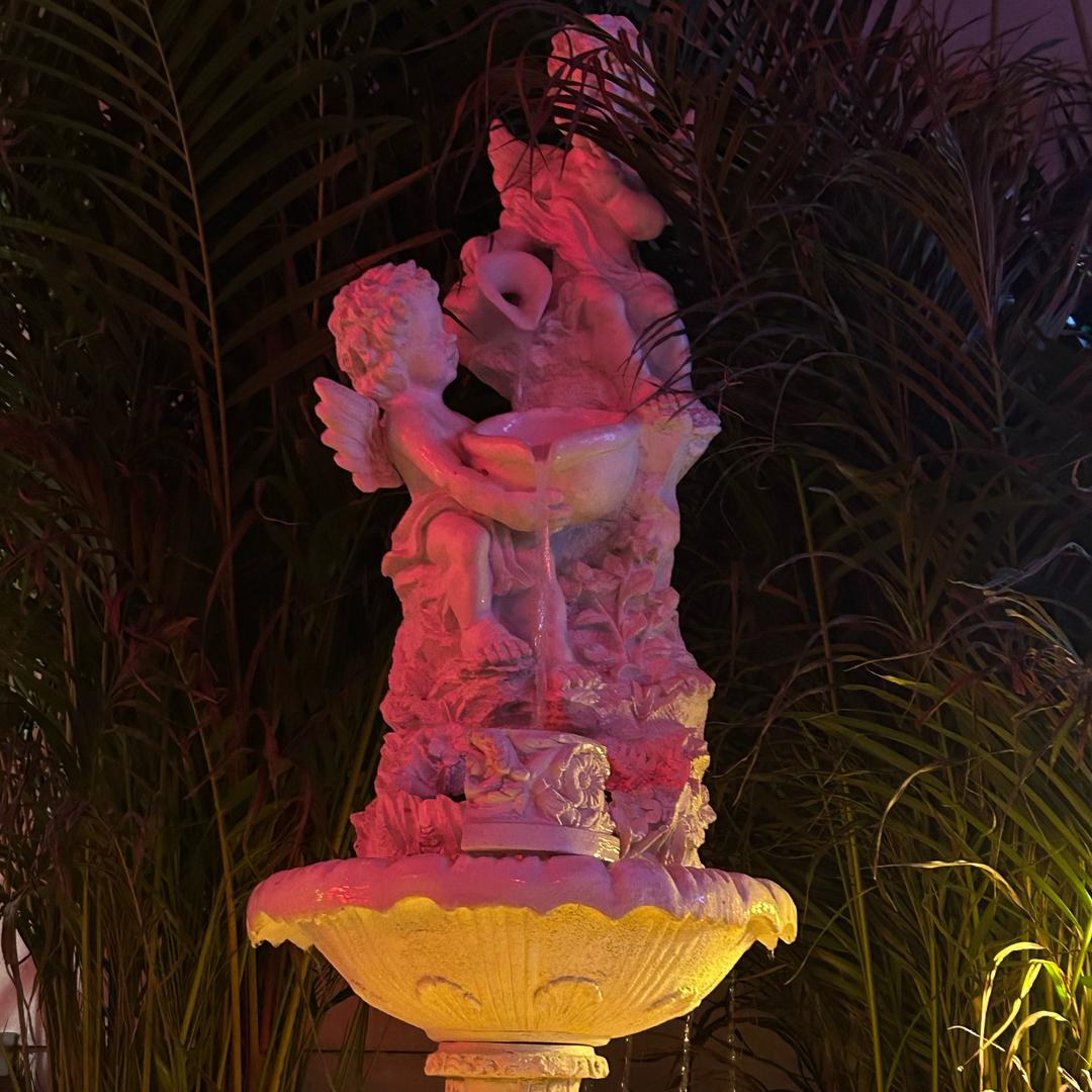 今天你要来份蟑螂吗～