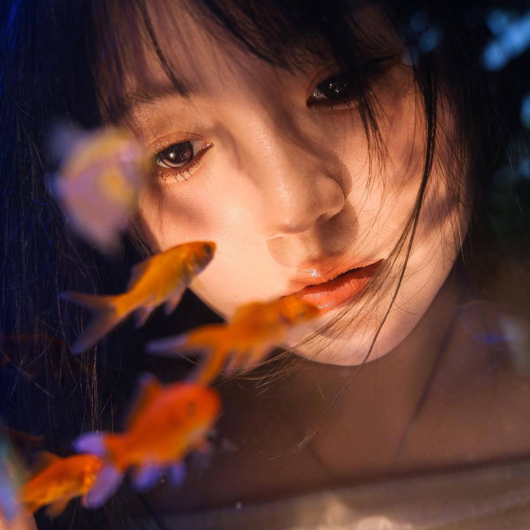 一只眠羊დ