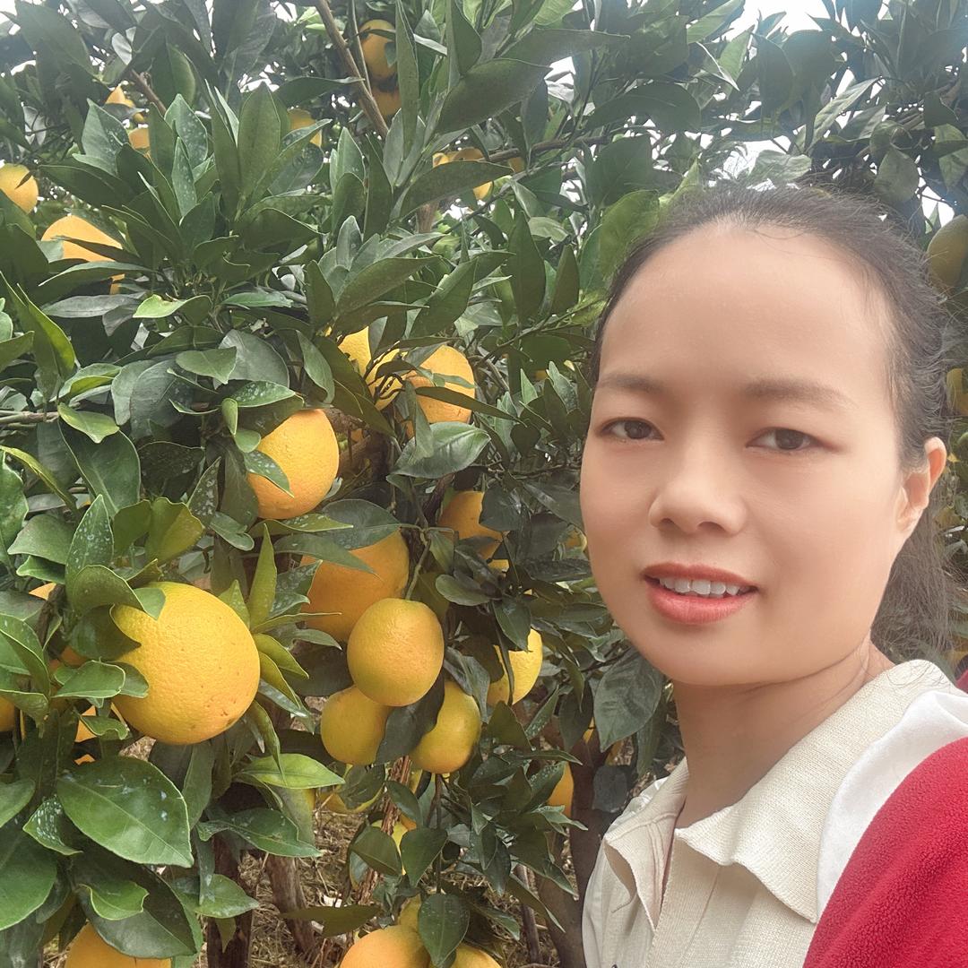 赣南脐橙芳姐