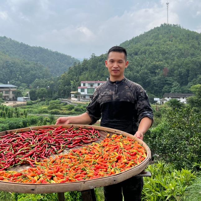 农村小董