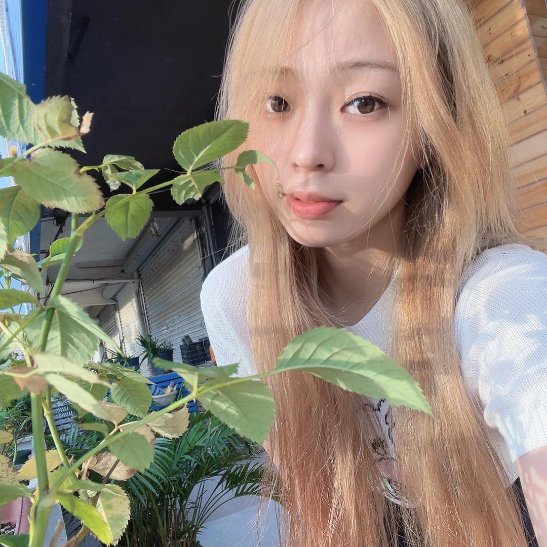 皮蛋solo粥(限流版)