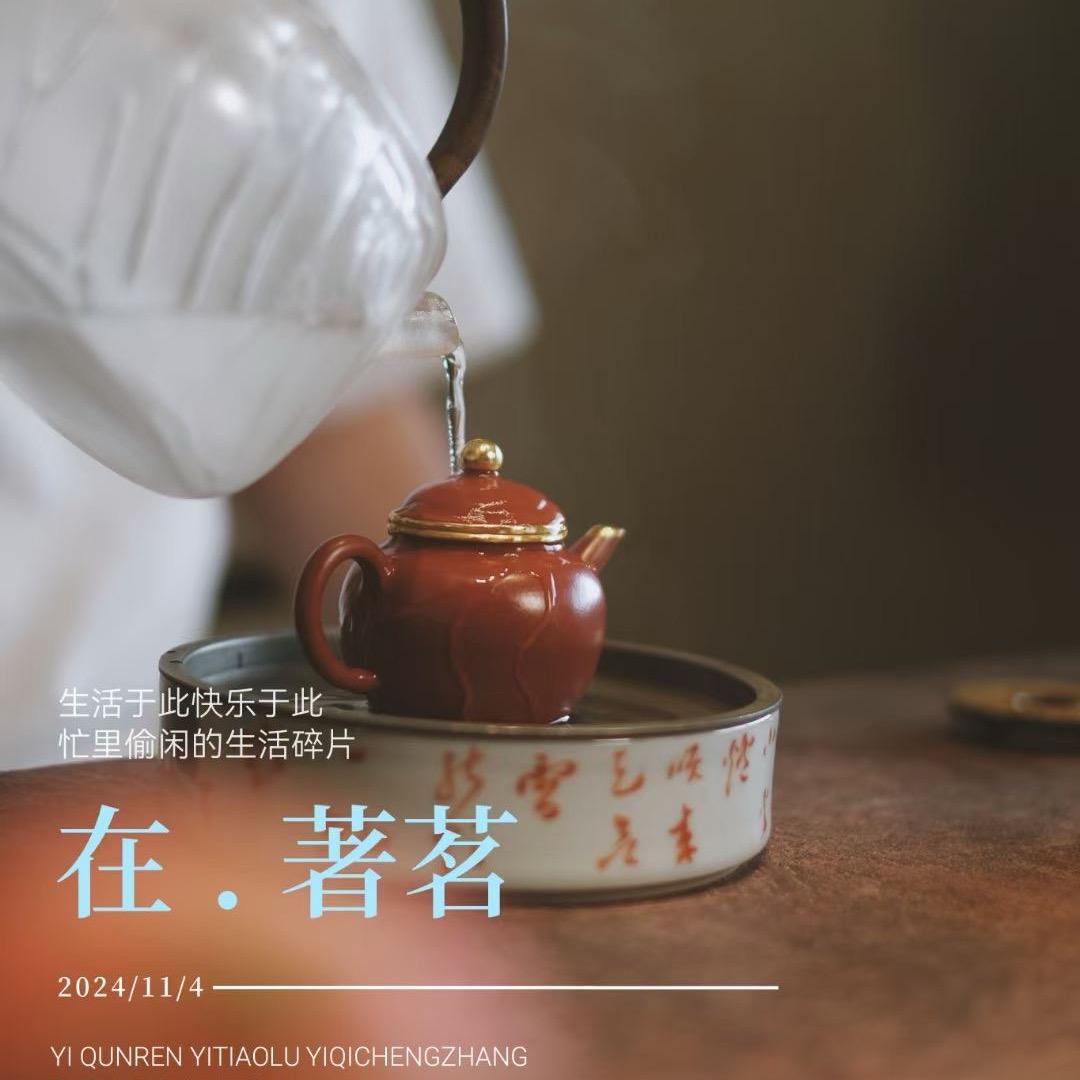 著茗正岩茶