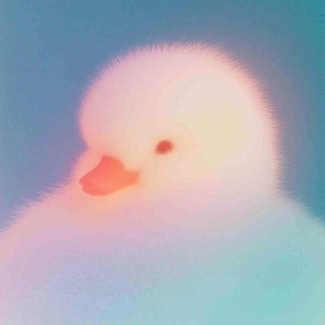…..