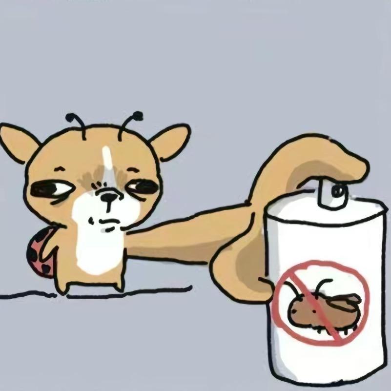 ₍ᐢ •͈ ༝ •͈ ᐢ₎