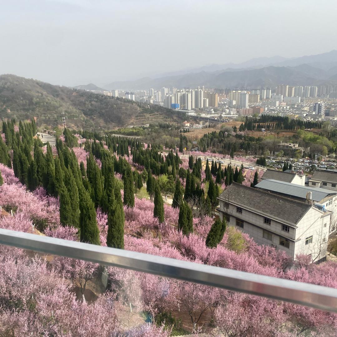 心心相印