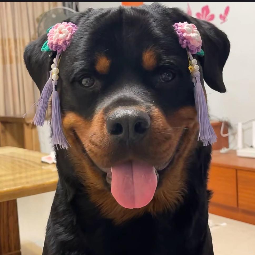 驰子