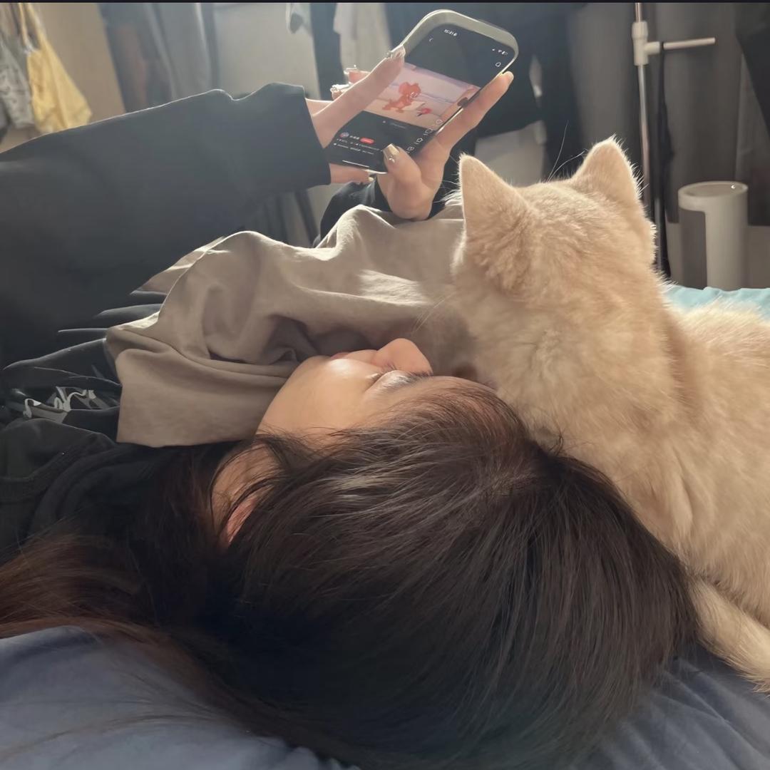 懒咪