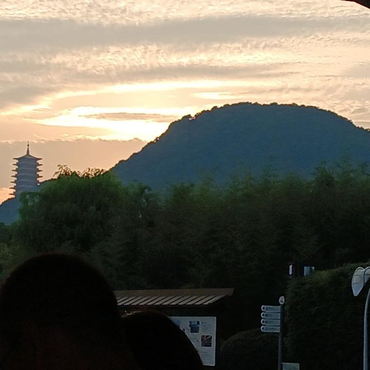 小枫电影