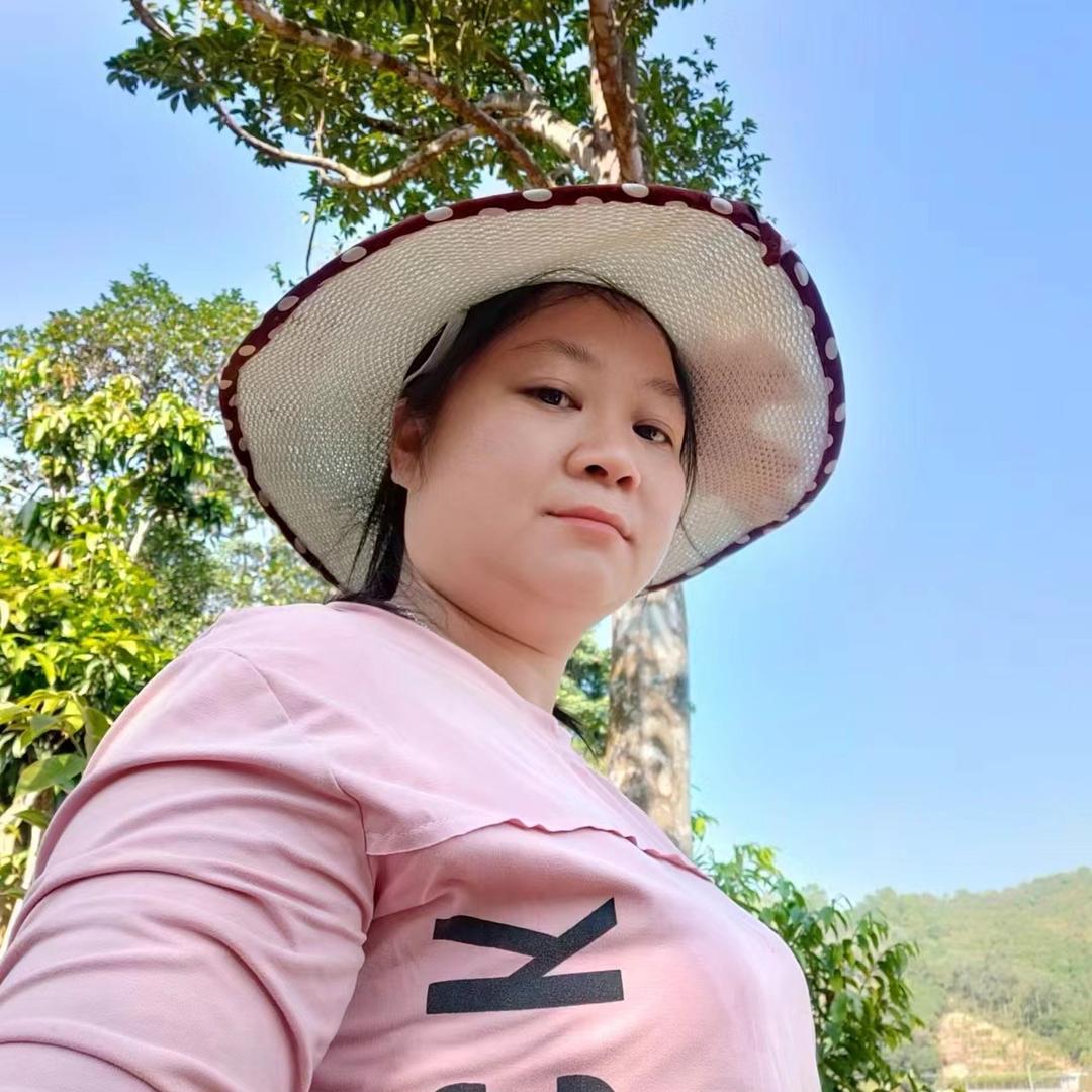 香农小胖