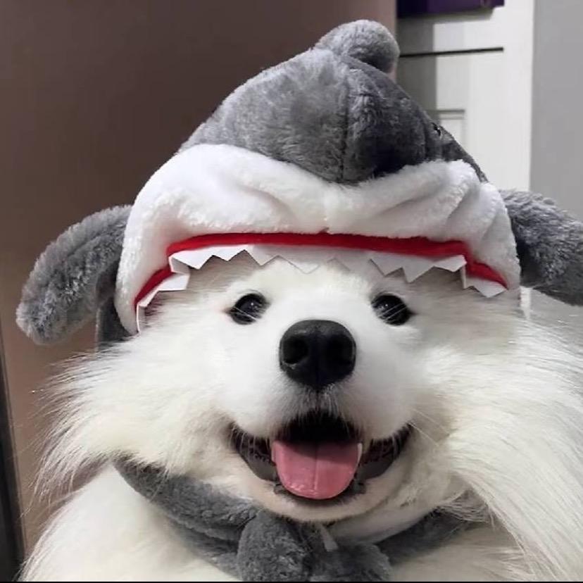 国家不保护废物_