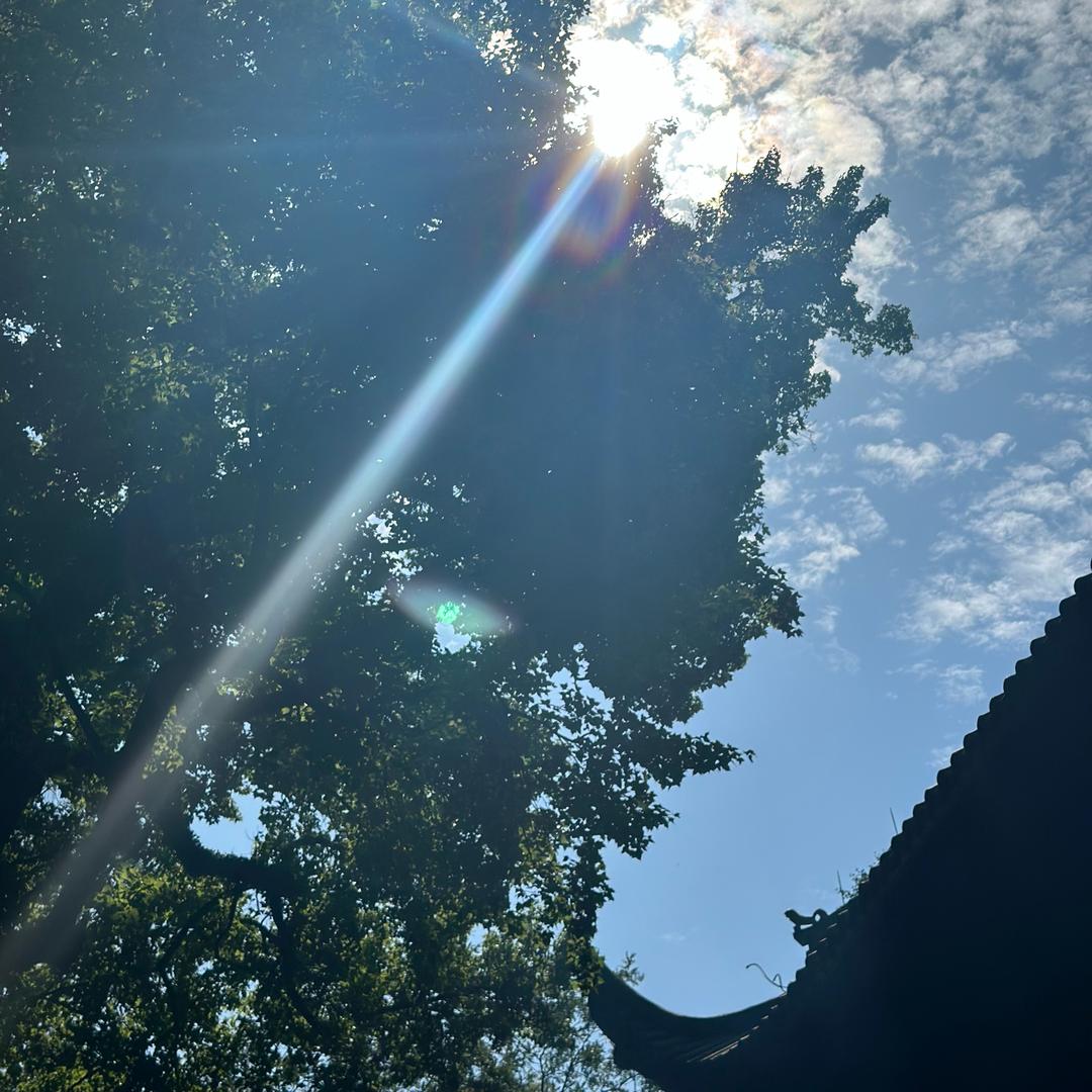 @是涛涛呀🥰