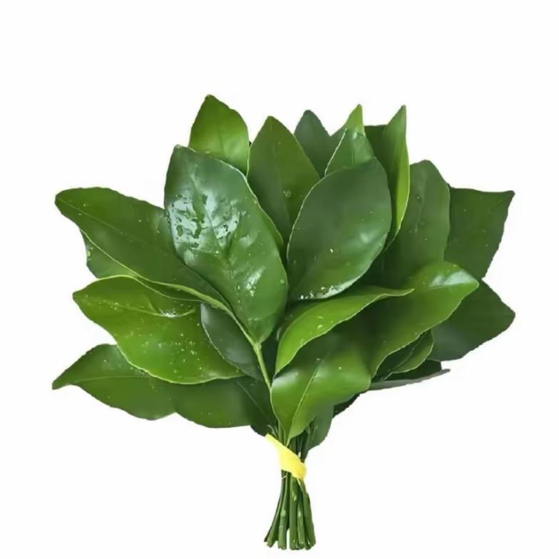 今天