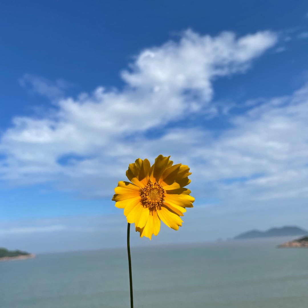 合肥租房