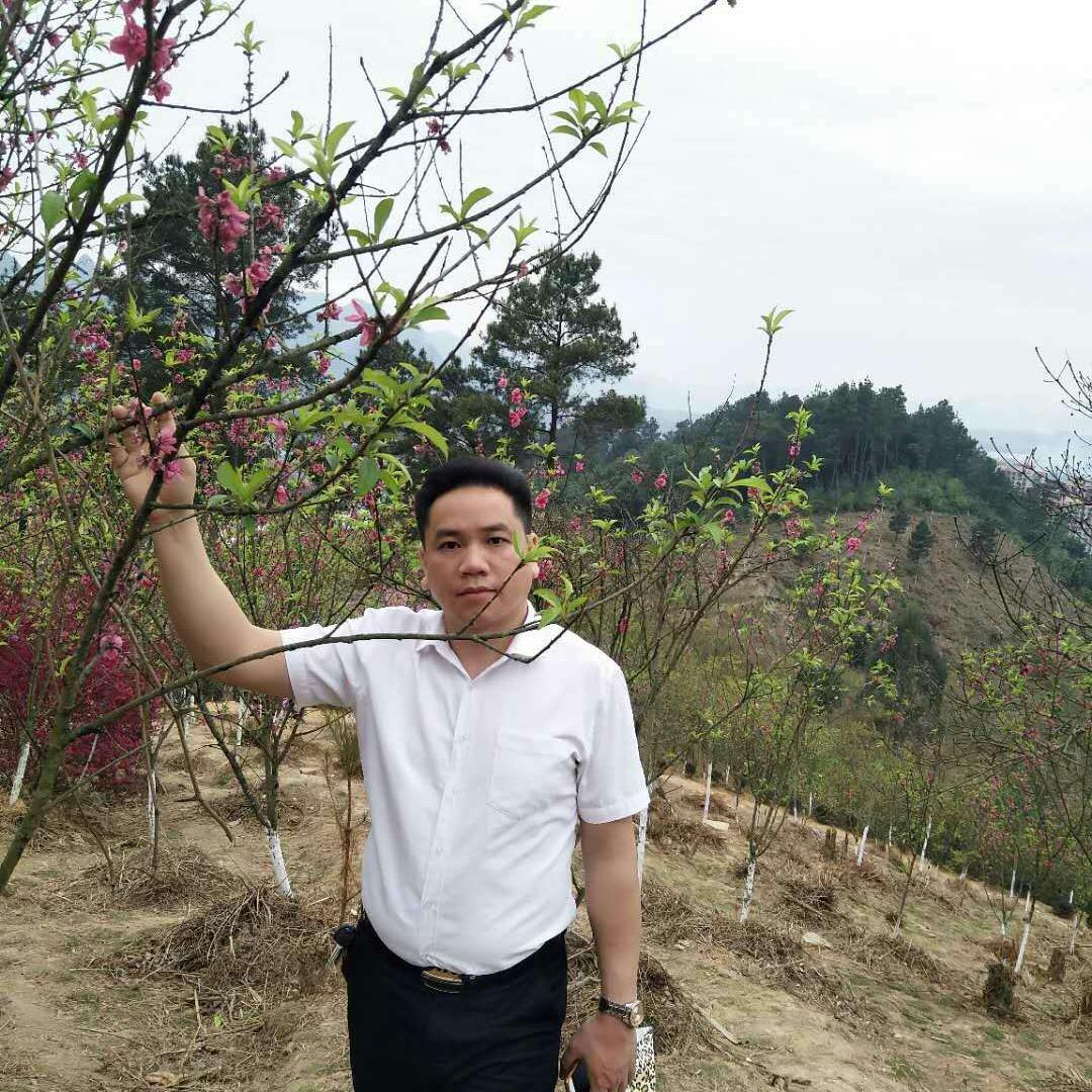 草原之星
