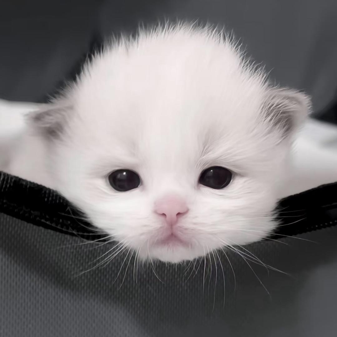 痛耳钉