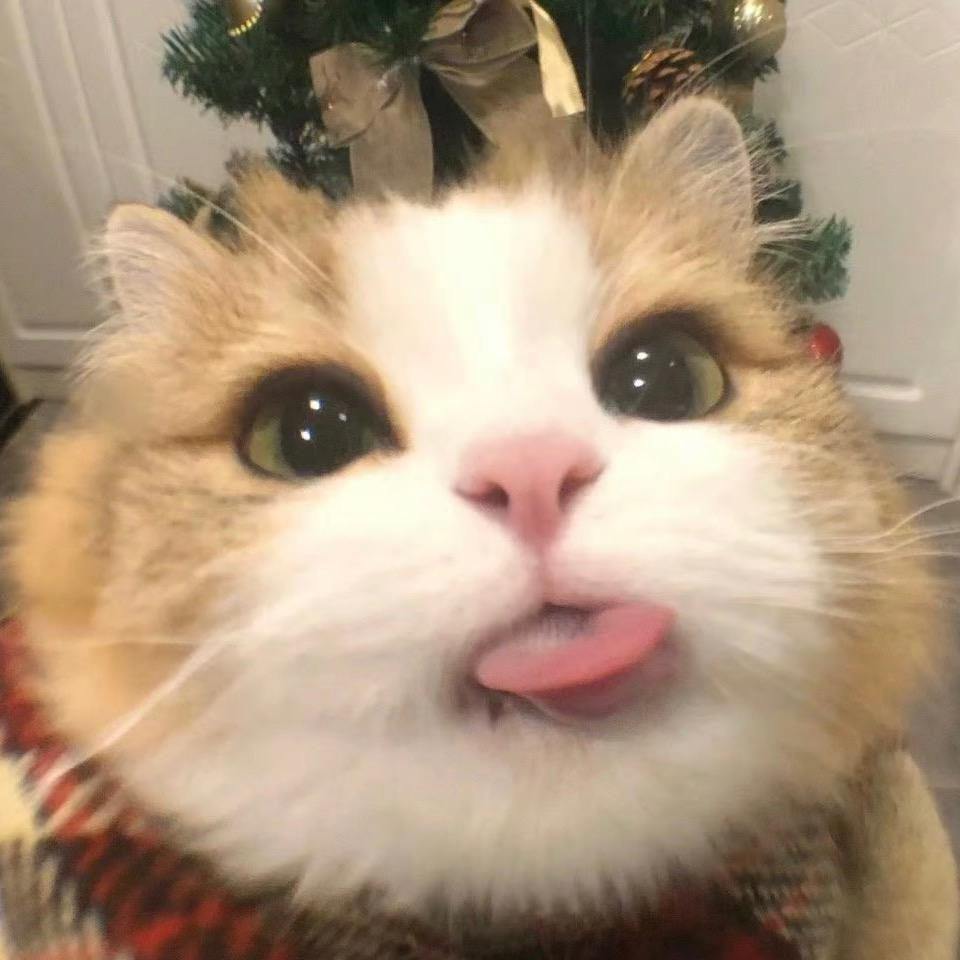 婷小仙的仙宝贝