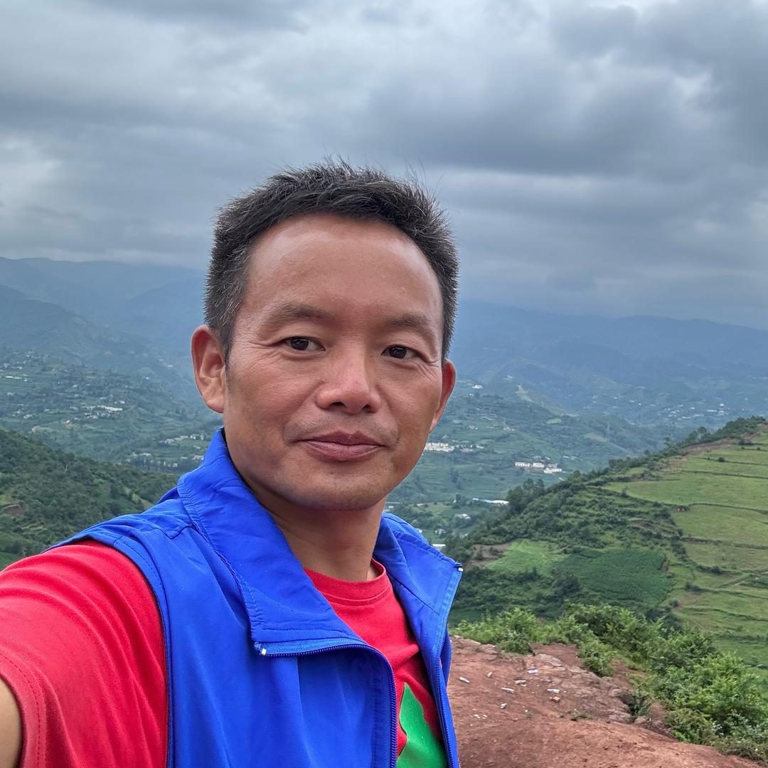 小树闯地球