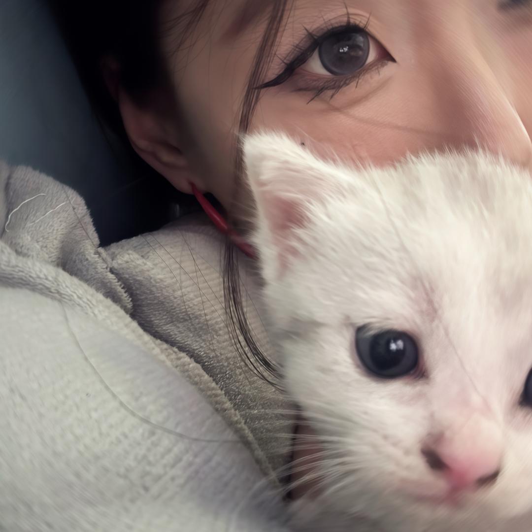 5Kr（见过张杰版）