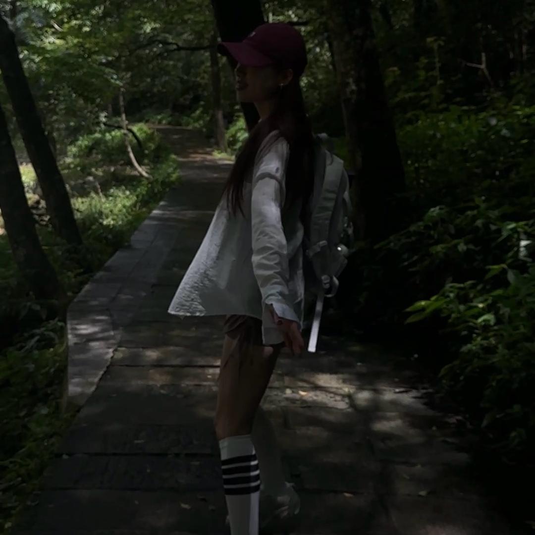 海上森林一只喵