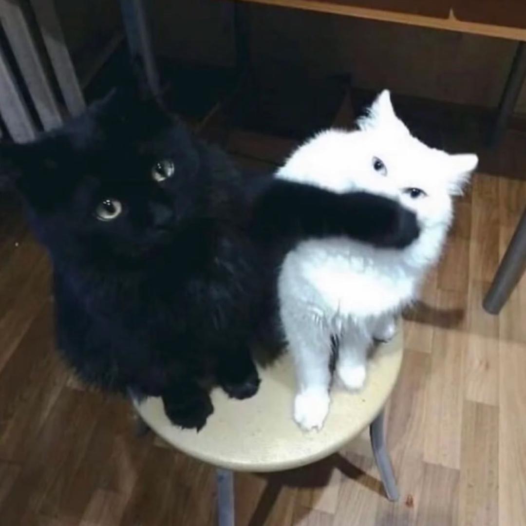 斤欠