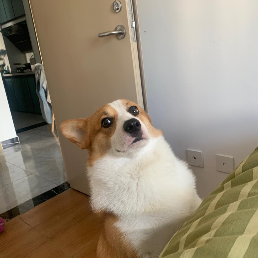 王QQ
