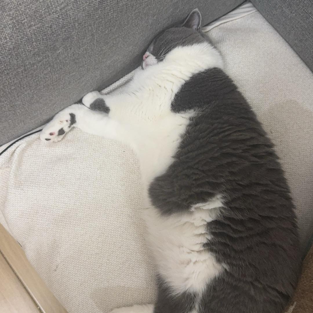 你可以叫我明天