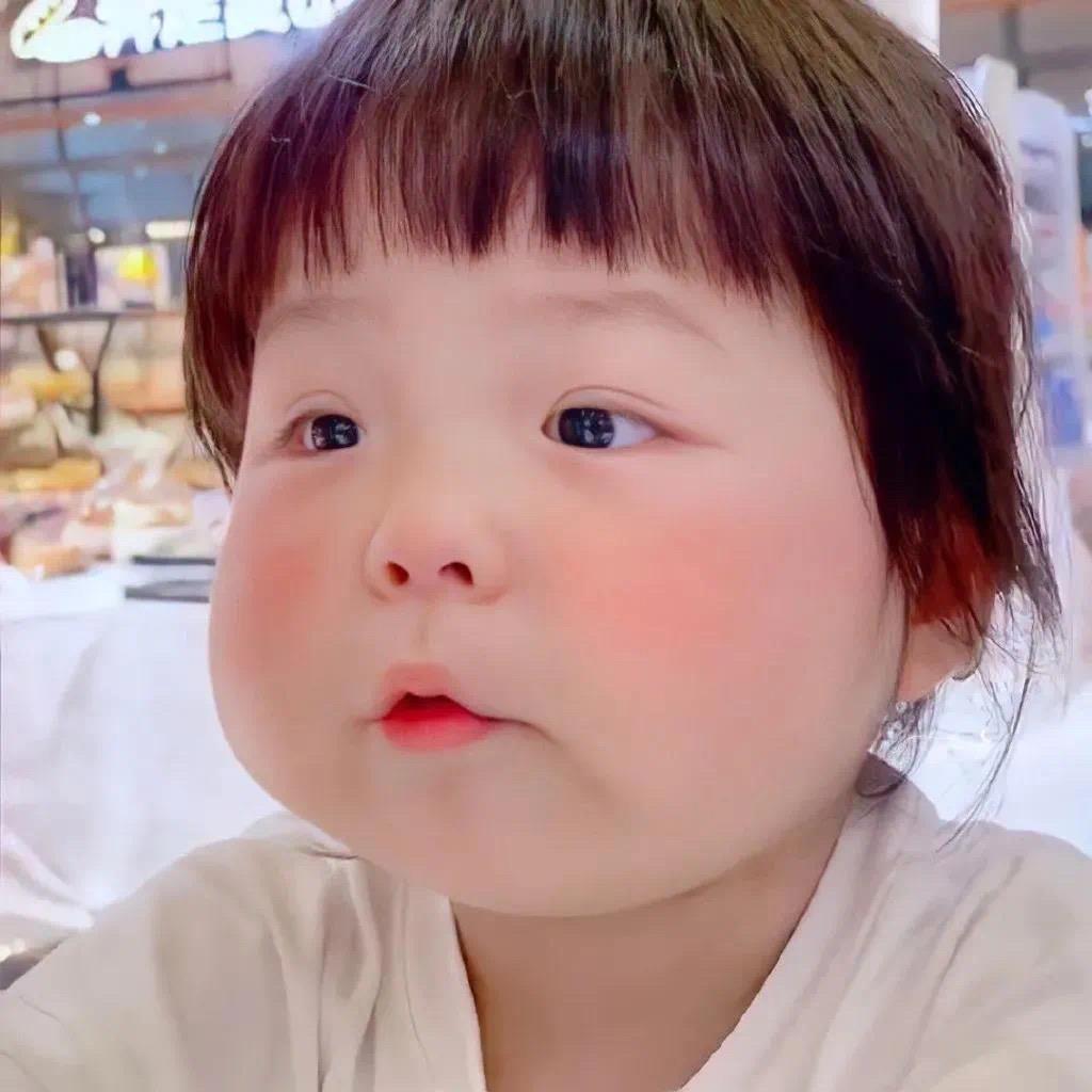抱枕与猫