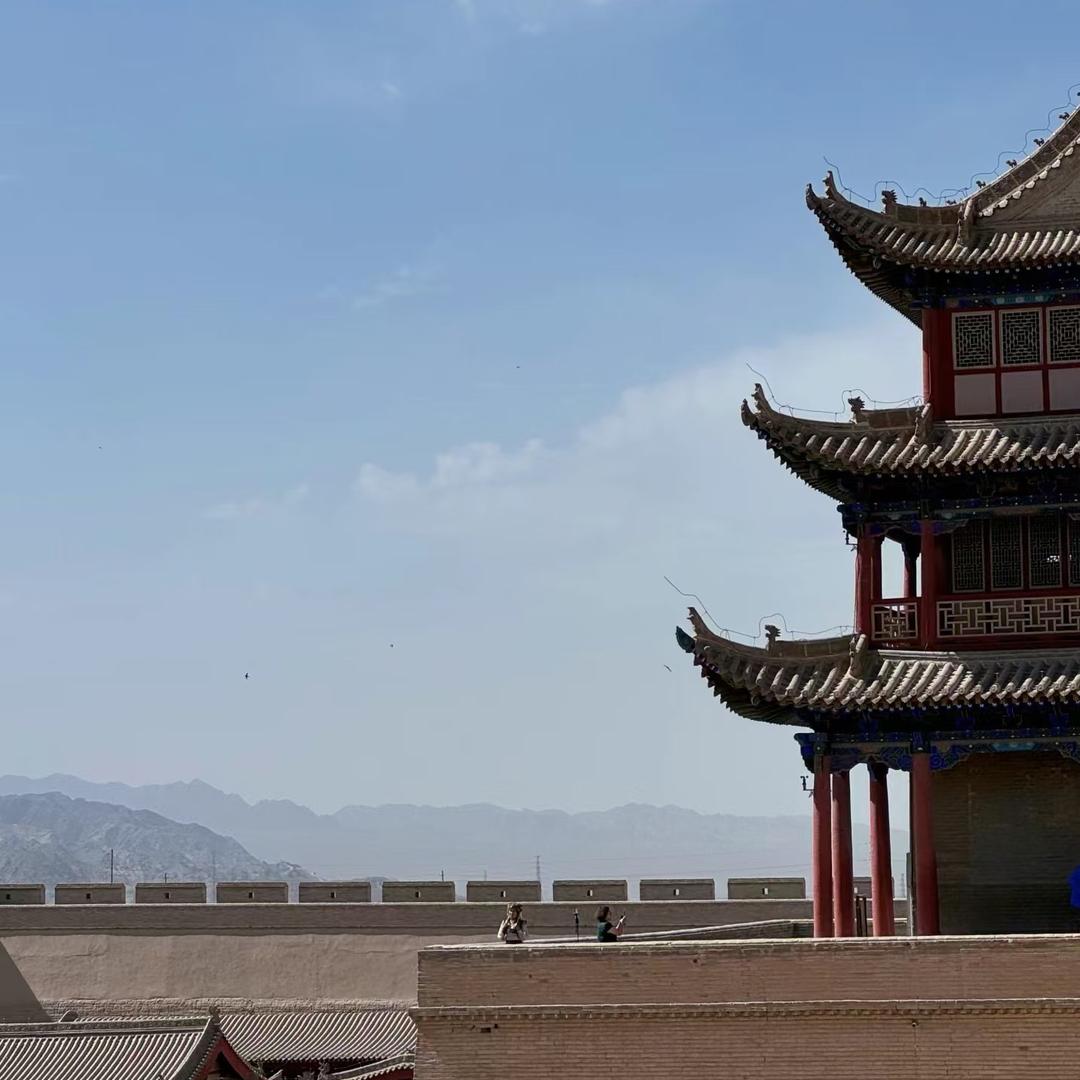 绿篱绿植
