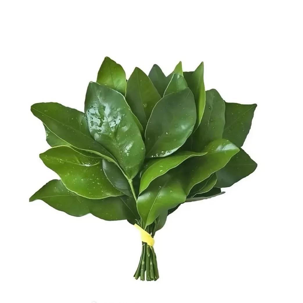 小萝卜