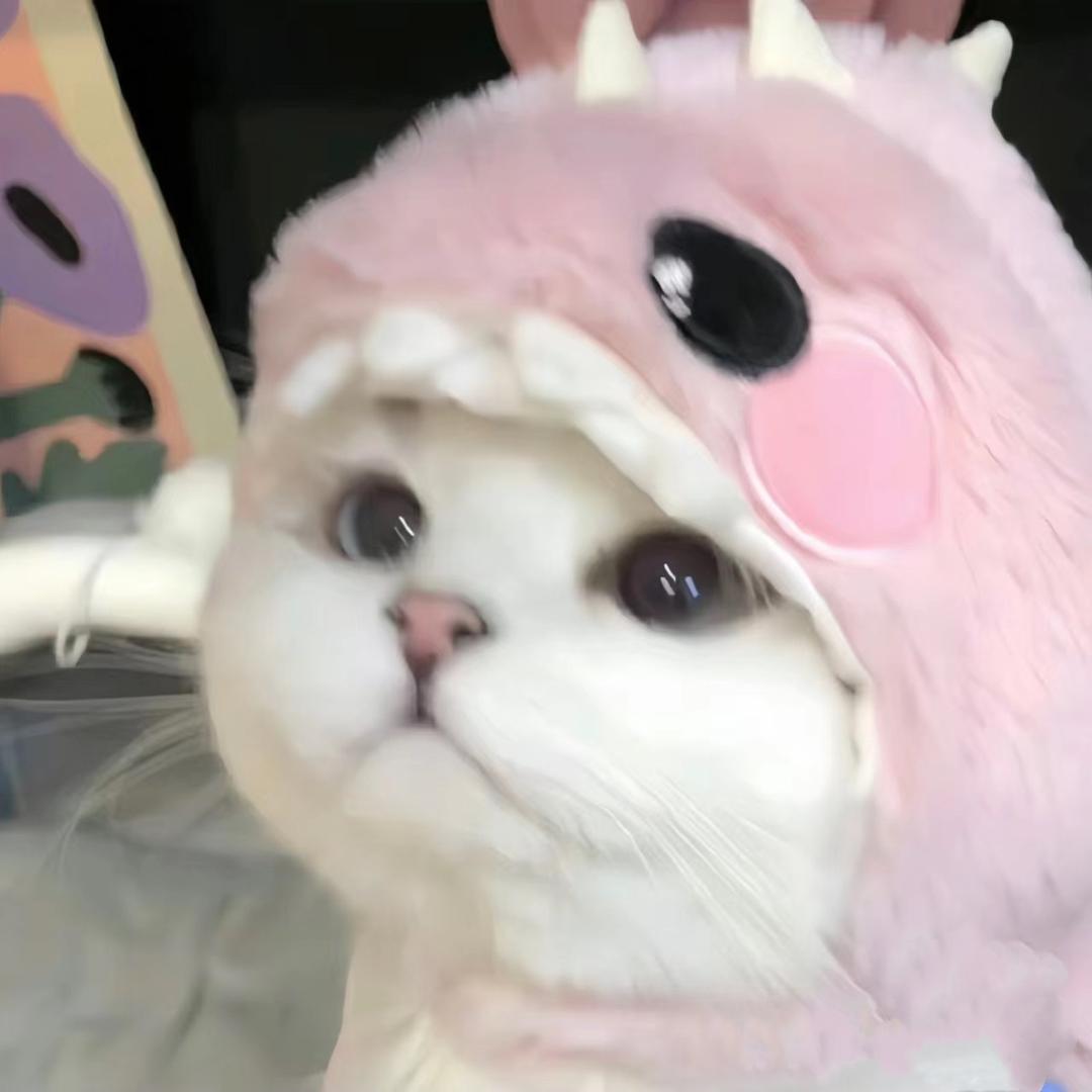 Viyo_何（十个勤天一巡郑州➕二巡南京