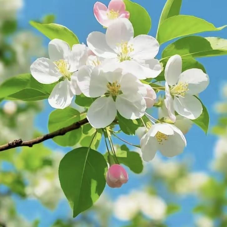 南安市洪濑镇主靖里百货商行(个体工商户)