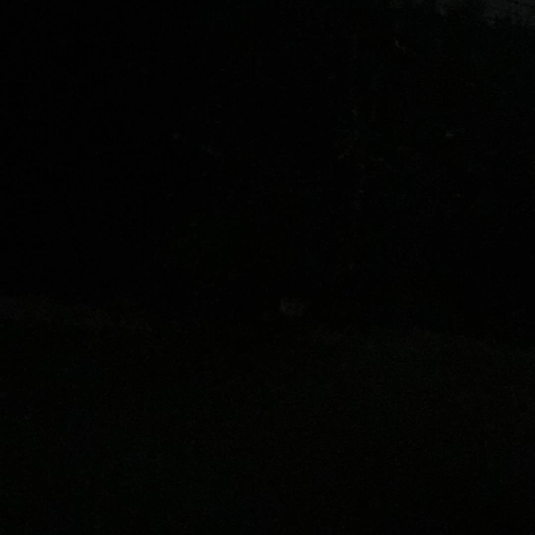 孞琞