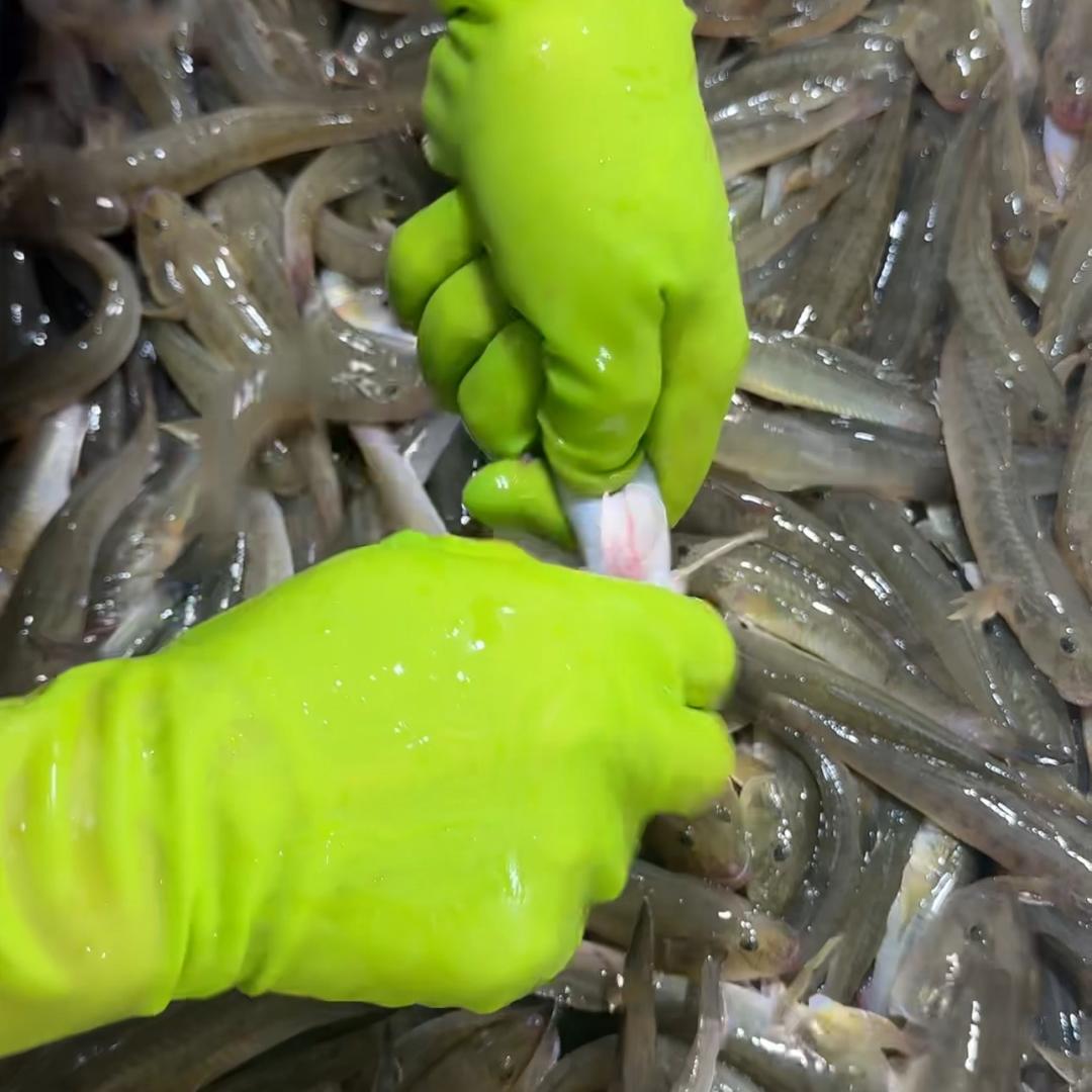 清新海鲜