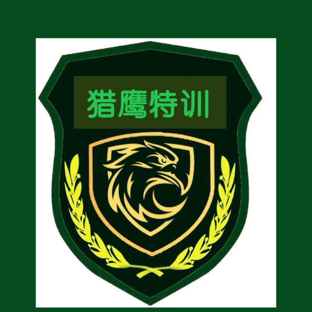 猎鹰特训