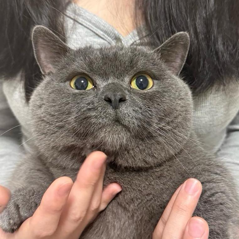 拳王77