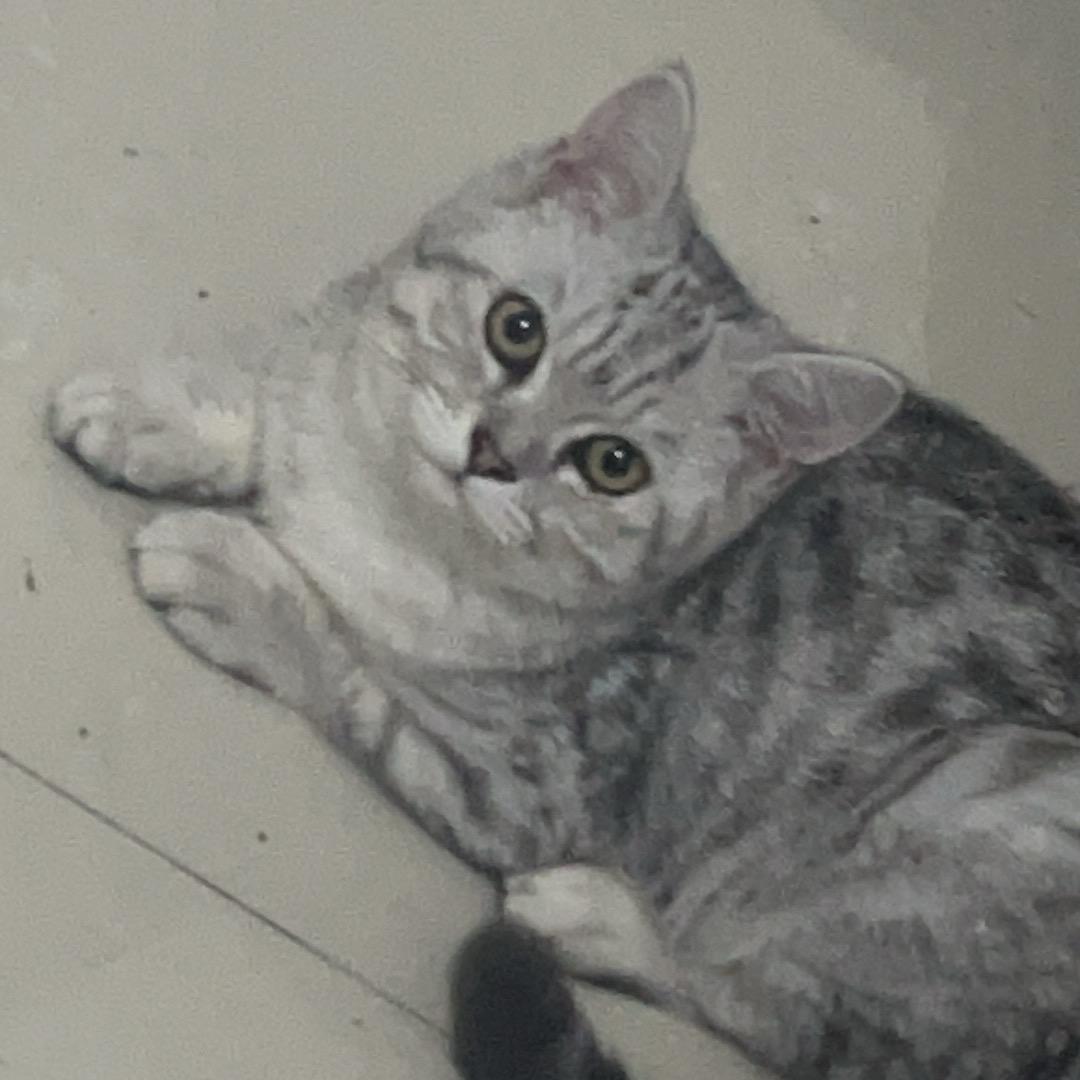 樊默