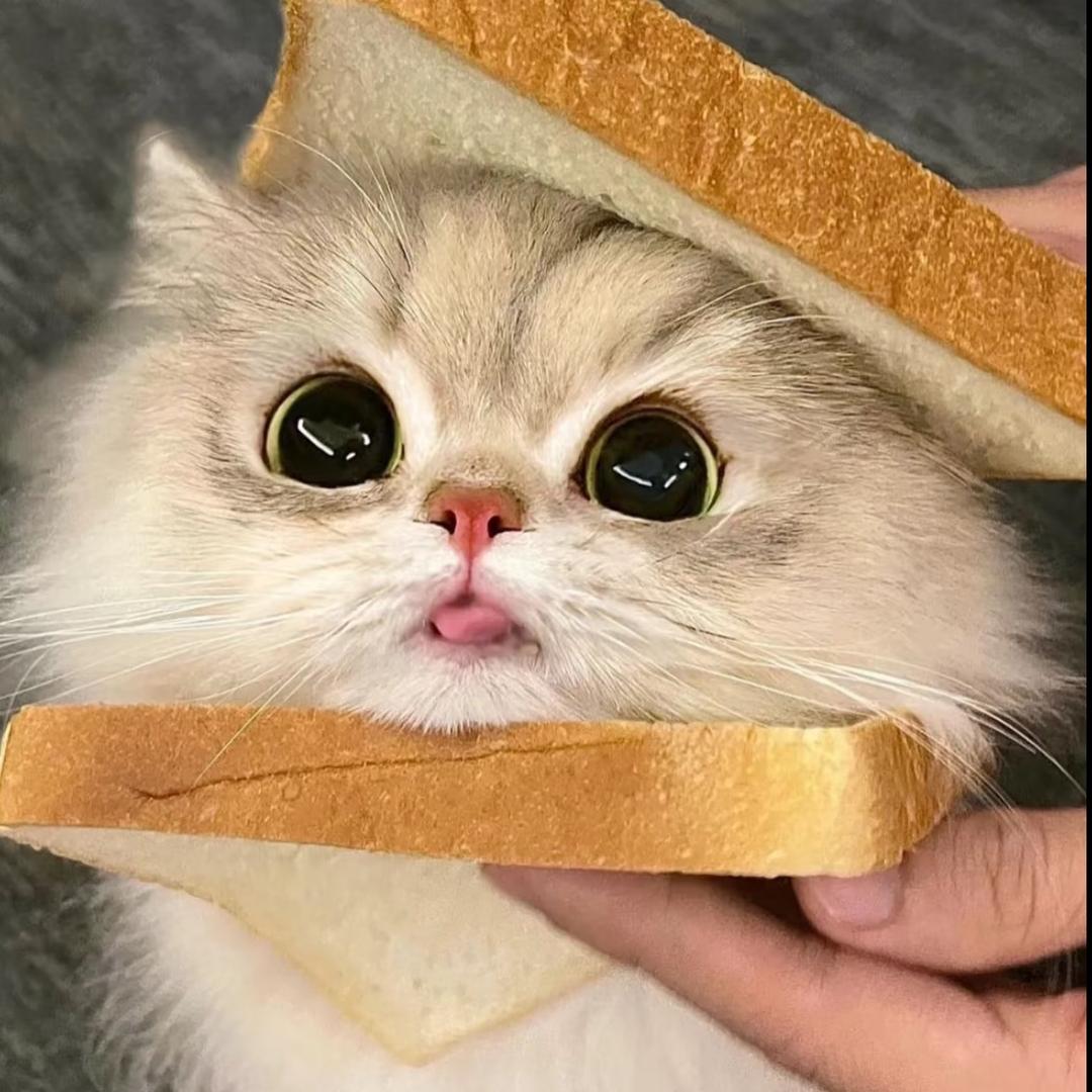 我才不是小饼干