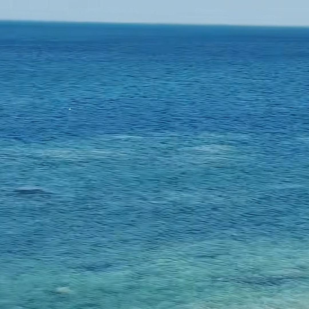 用户96887523