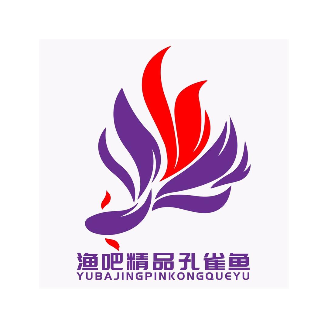 渔吧精品孔雀鱼