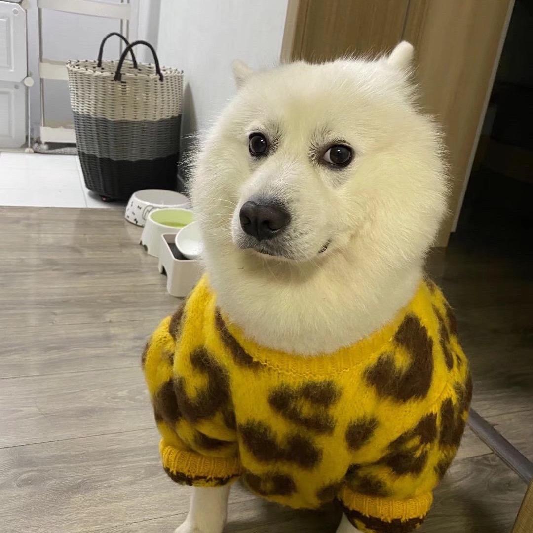 @耶耶