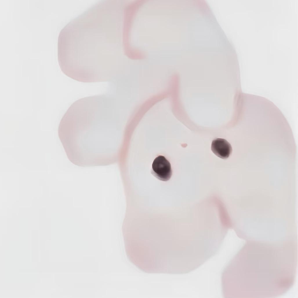 菠萝包包.