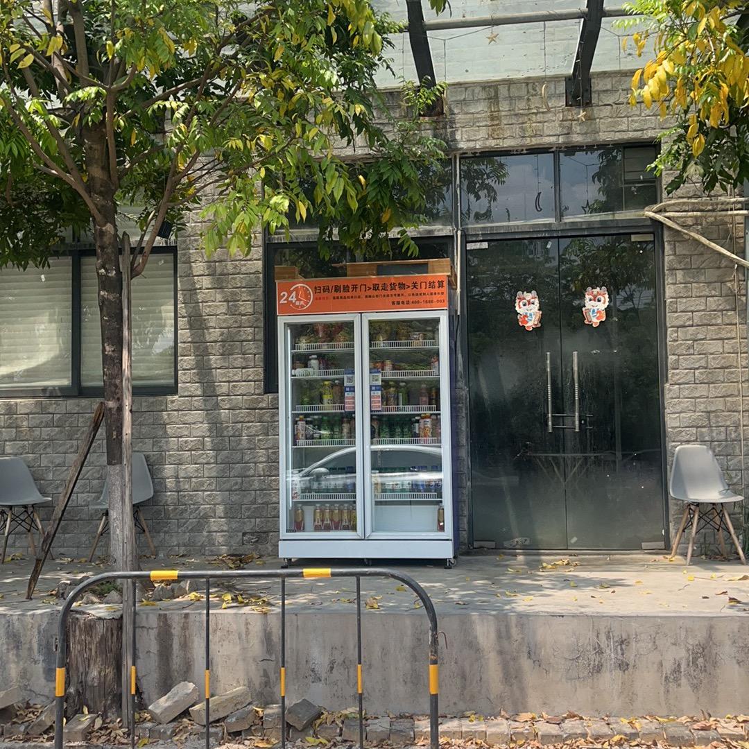 东莞三颗智能科技有限公司