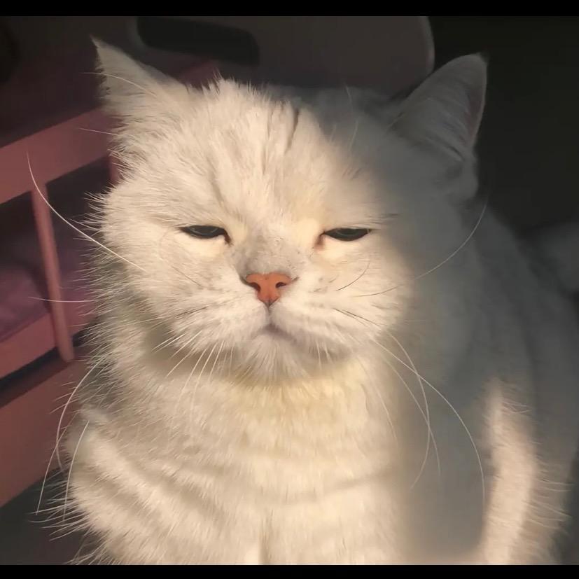 🌈小变态　　　　　　　　　🪳