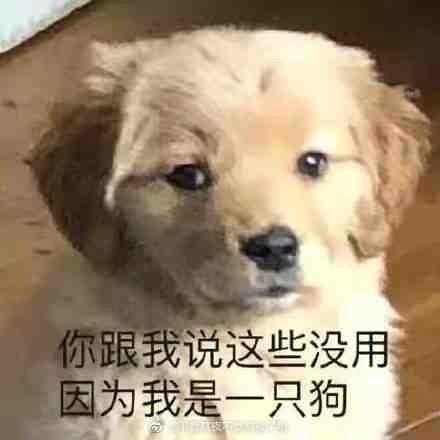 唐喵记·猫耳朵面·江湖菜