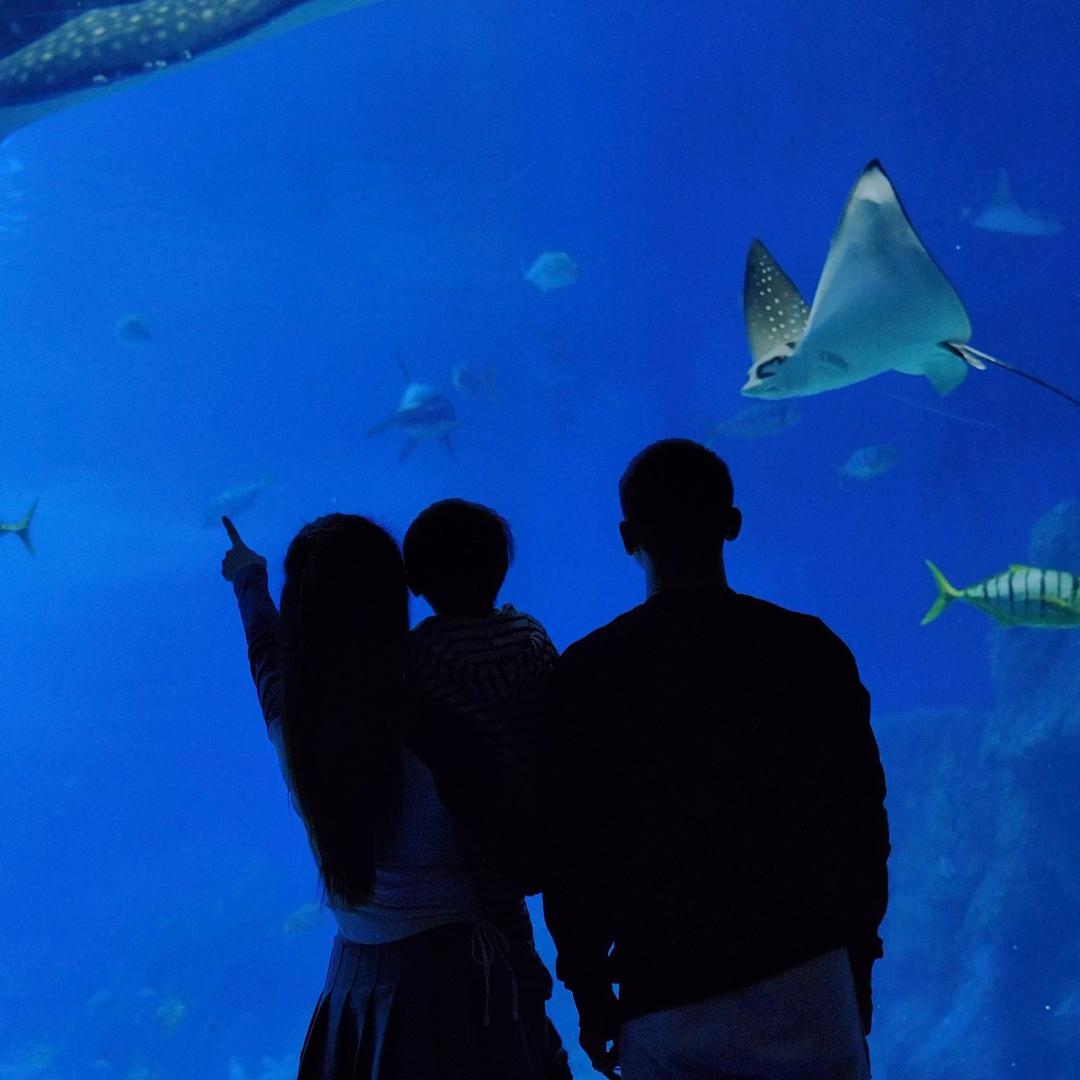 、🐳