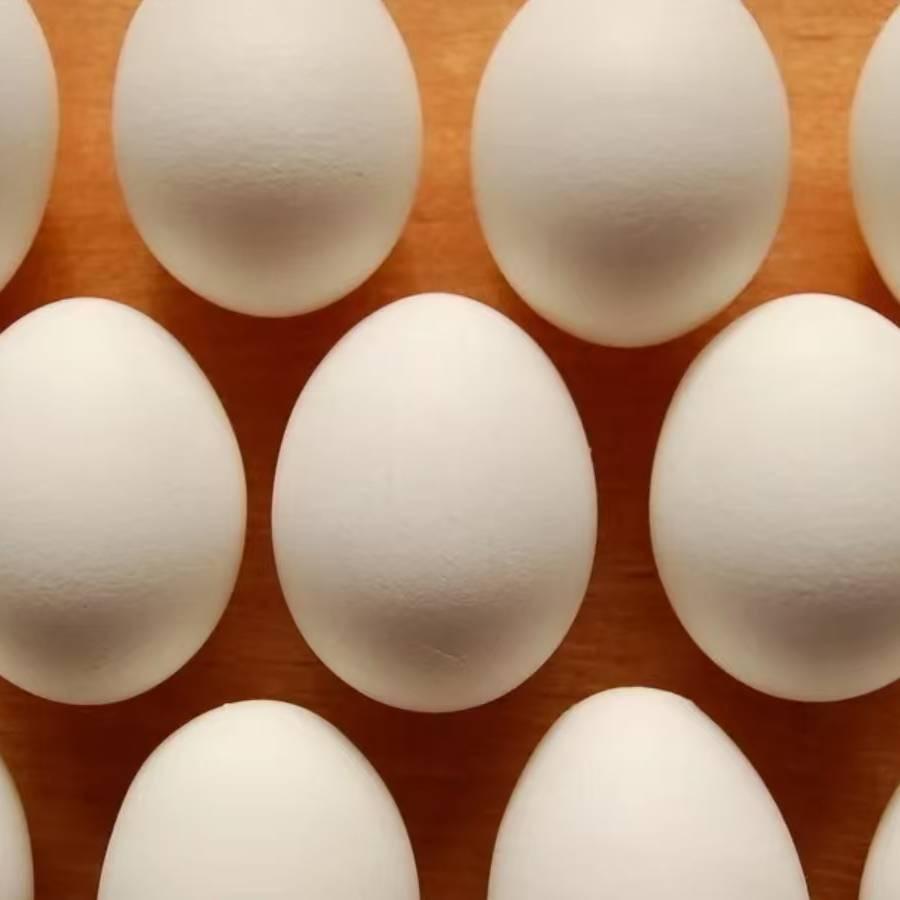 🥚蛋白和蛋黄🥚