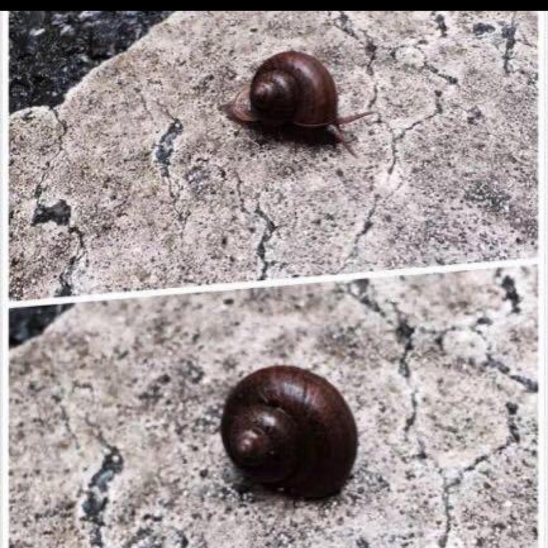 (闲聊号)